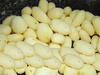 工业智能时代：土豆去皮技术演进与设备选型指南