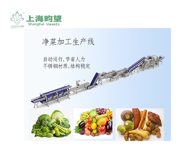 净菜加工生产线