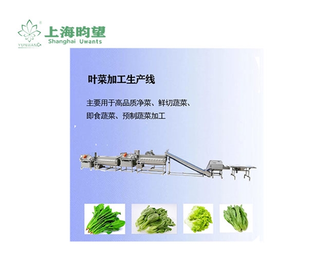 叶菜加工生产线