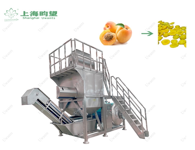 黄桃蒸汽去皮机